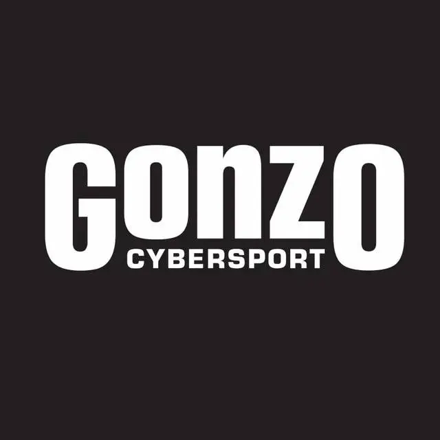 Друзья, из GONZO я ушел, все рабочие вопросы направляйте ребятам на официальный телефон или почту. | Сетка — социальная сеть от hh.ru
