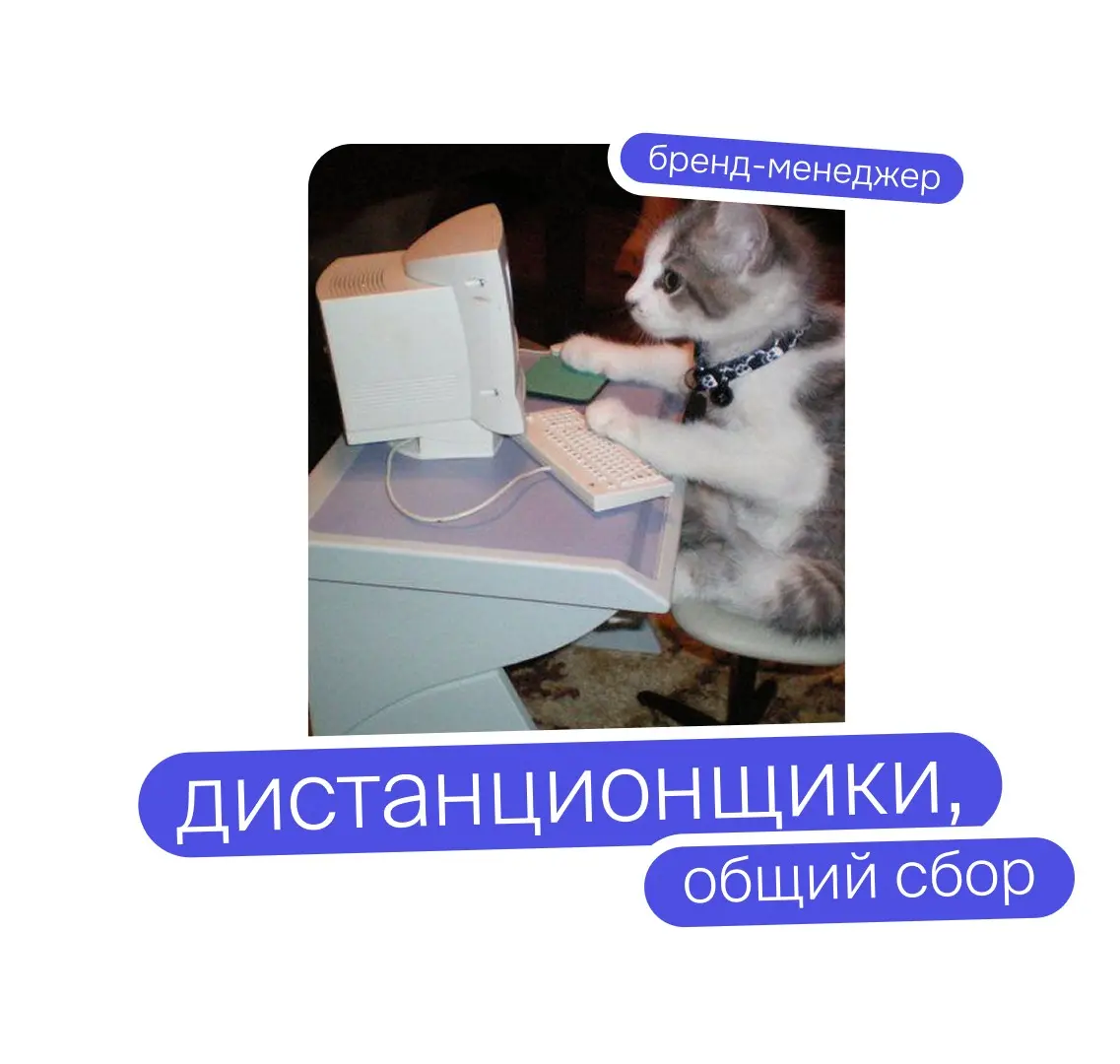 Дистанционщики, вы скучаете по атмосфере офиса? | Сетка — социальная сеть от hh.ru