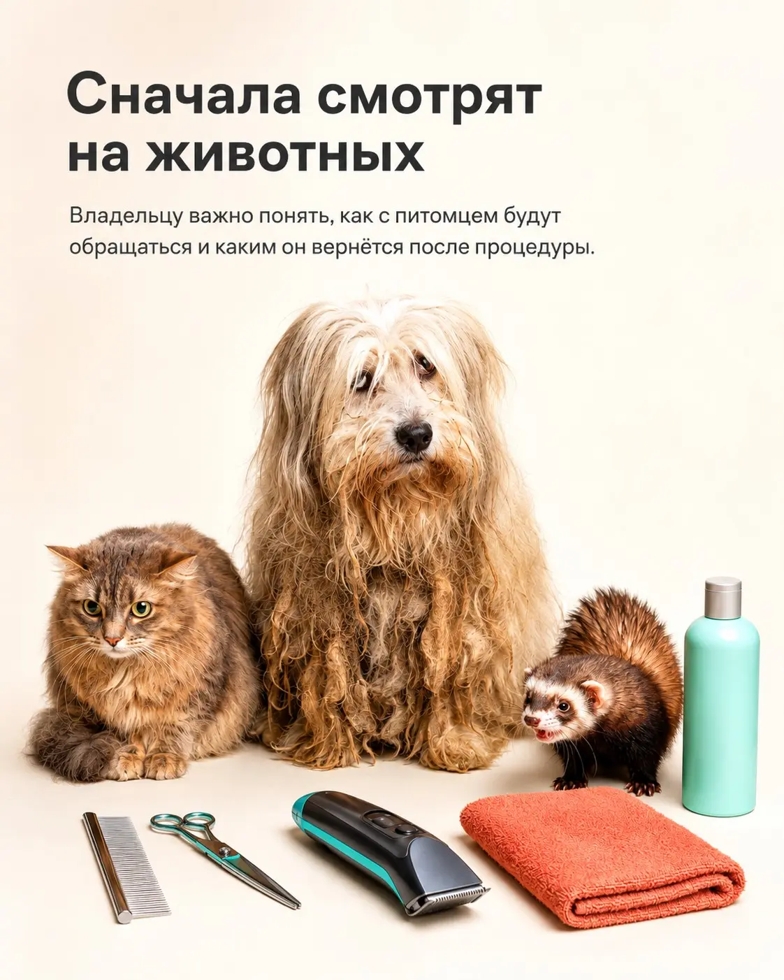 Как человек выбирает груминг: сначала смотрят не на цену | Сетка — социальная сеть от hh.ru