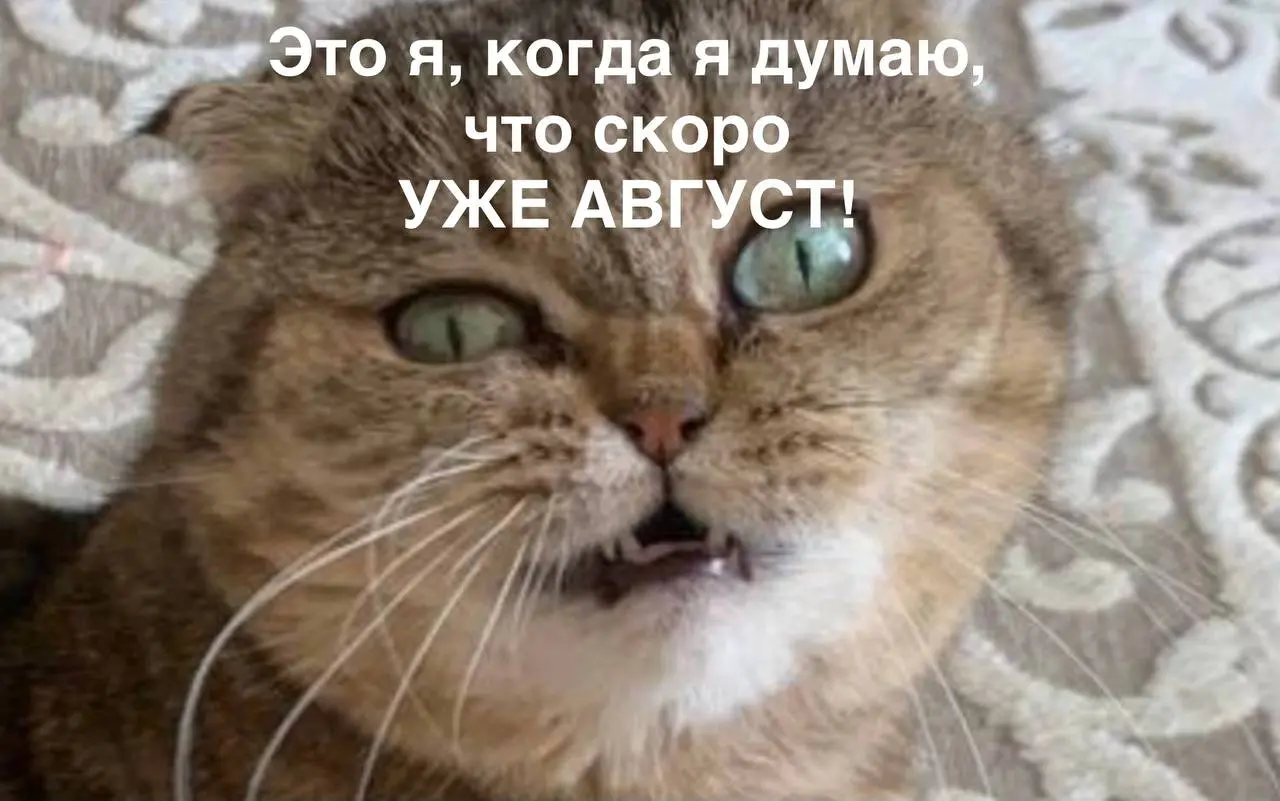 Размышления пост
Скоро август, а там и сентябрь не за горами | Сетка — социальная сеть от hh.ru
