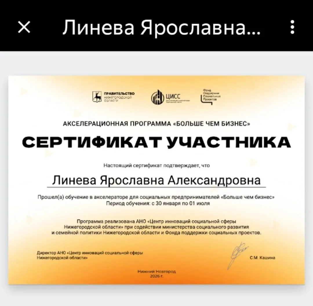 10.06.2026 | Сетка — социальная сеть от hh.ru