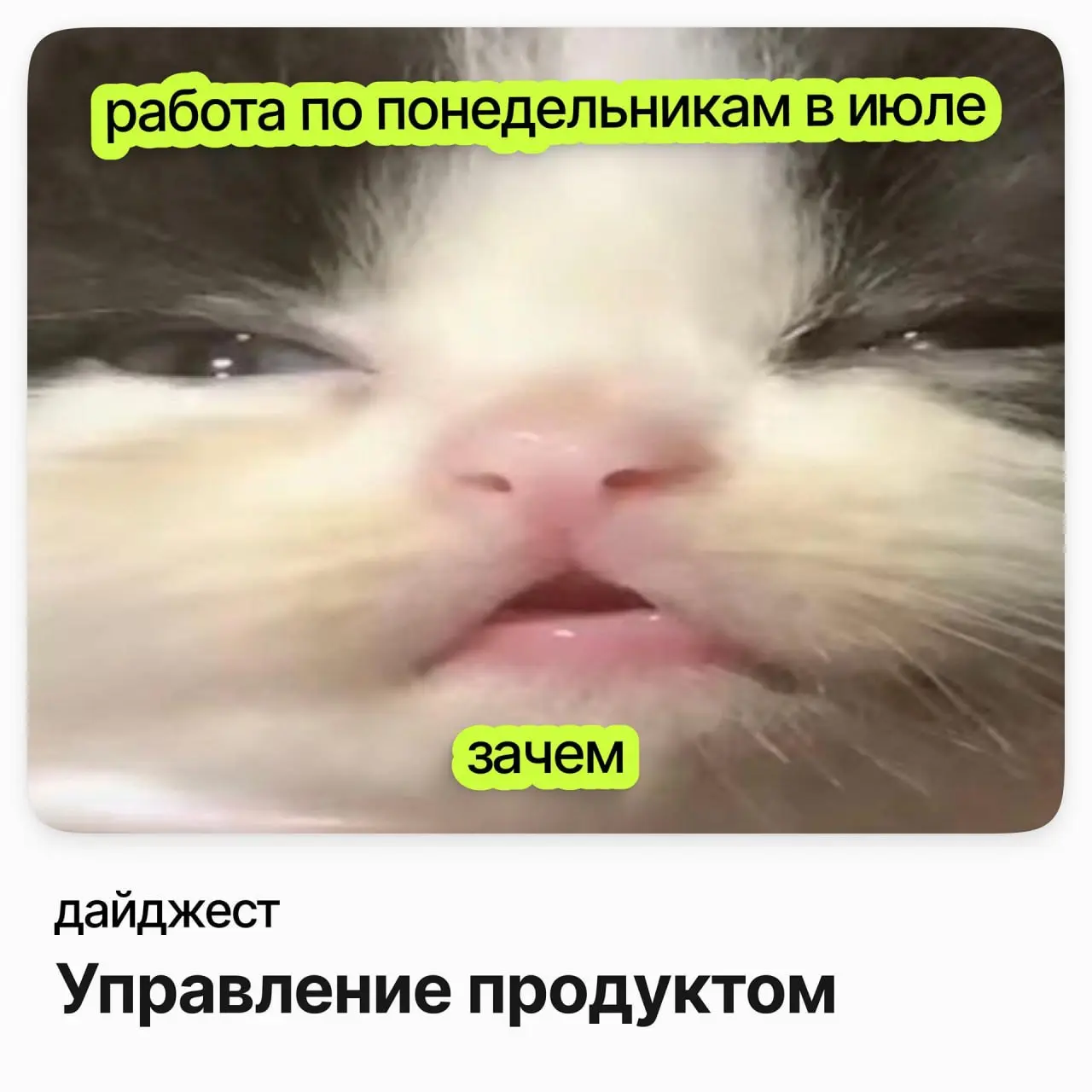 💼💼💼Вакансии в управлении продуктом
Senior Game Designer / Azur Games (удалёнка)
Зарплата: от 334 000 до 459 000 ₽ /на руки
Подробнее
Менеджер по планированию и управлению инновациями в R&D / PepsiCo
З... | Сетка — социальная сеть от hh.ru