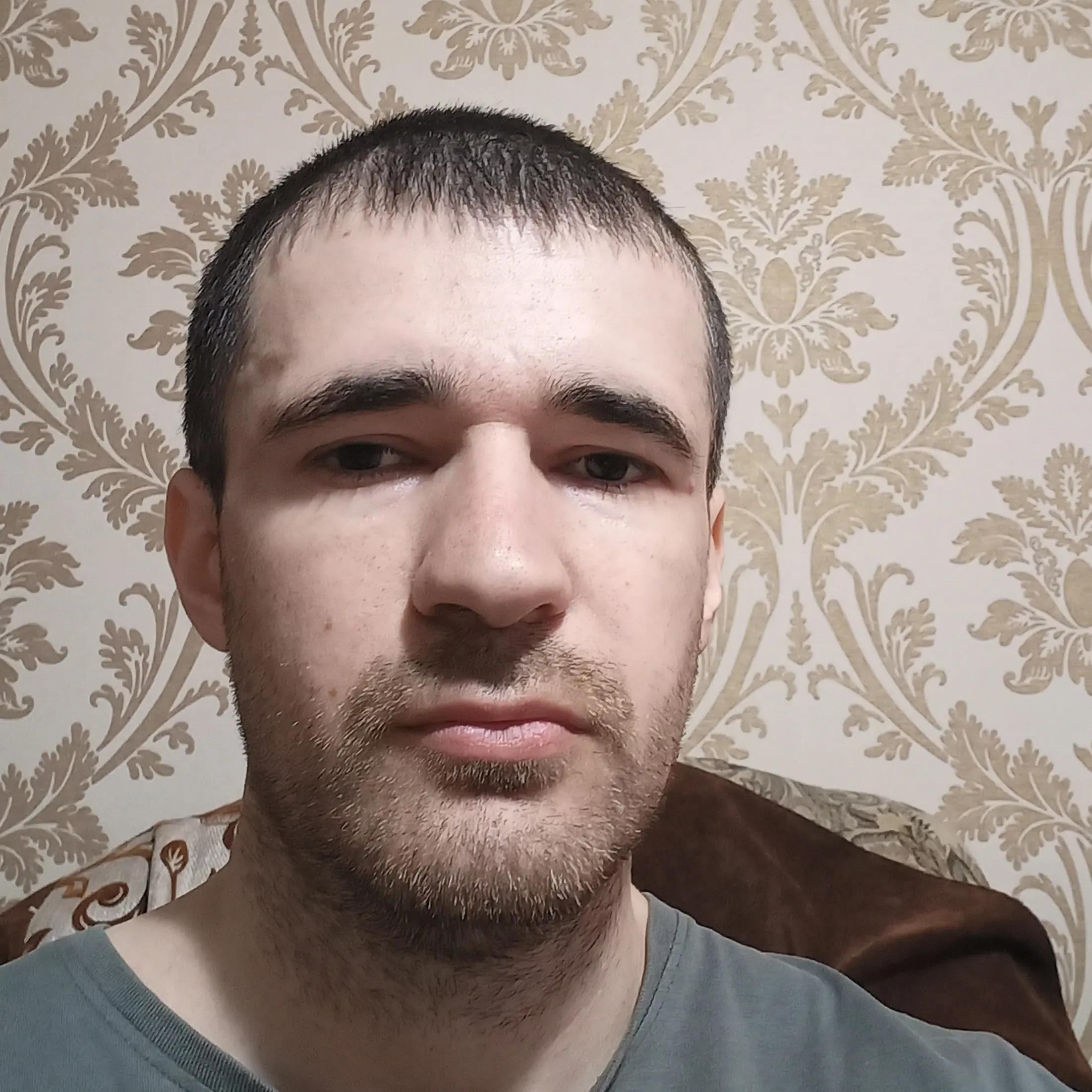 shamil magomedov