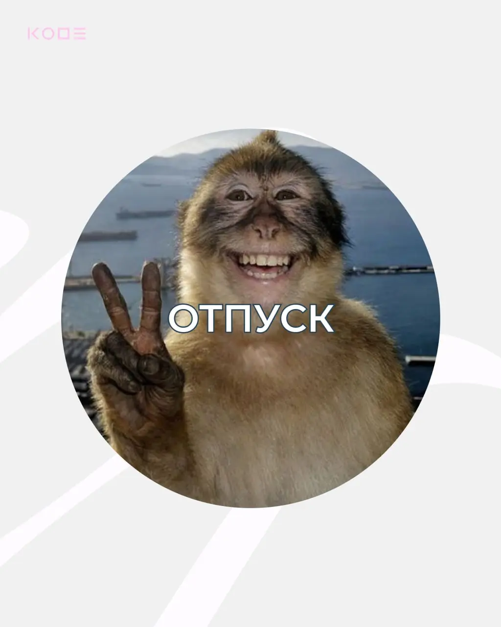 Половина лета прошла, а это значит — давно пора отправиться ☀️в отпуск☀️
Собрали самые смешные и атмосферные варианты, забирайте!
Делитесь в комментариях своими мемными аватарками | Сетка — социальная сеть от hh.ru