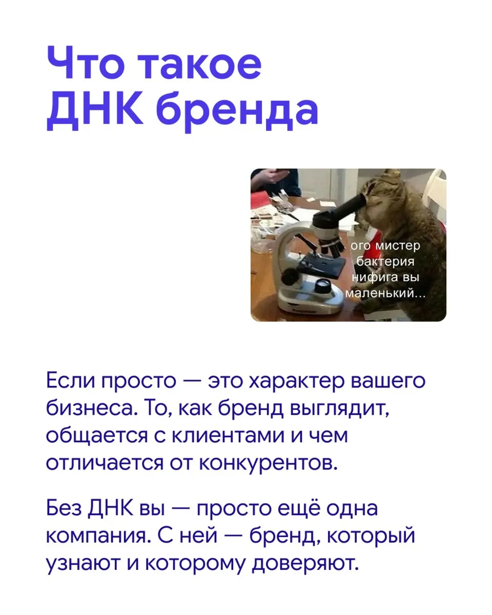Как думаешь, почему одни бренды запоминаются, а другие — нет?
Красивый логотип и сайт есть у многих, но чтобы клиенты запомнили и выбирали твой бренд, ему нужен характер — своя ДНК | Сетка — социальная сеть от hh.ru