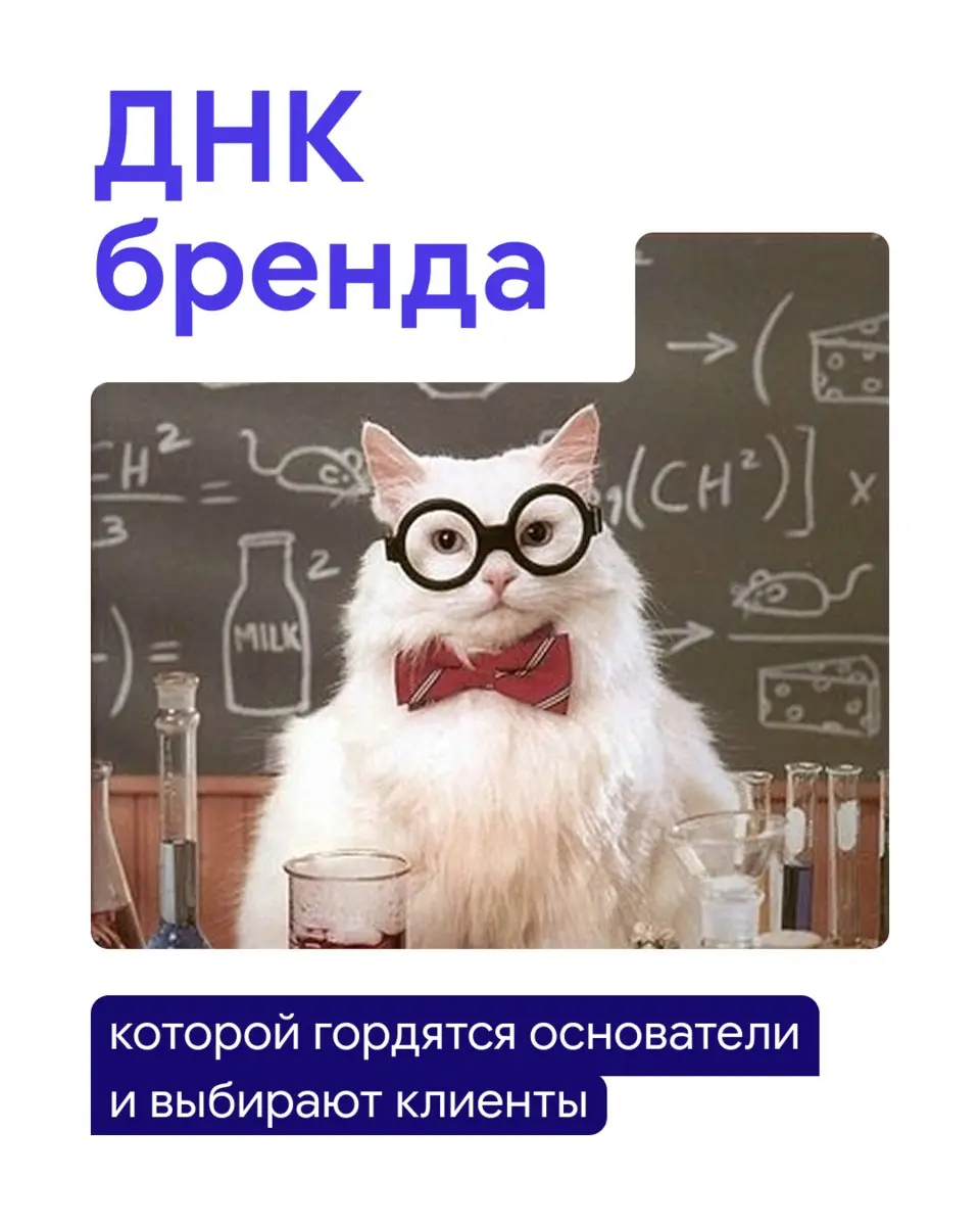 Как думаешь, почему одни бренды запоминаются, а другие — нет?
Красивый логотип и сайт есть у многих, но чтобы клиенты запомнили и выбирали твой бренд, ему нужен характер — своя ДНК | Сетка — социальная сеть от hh.ru