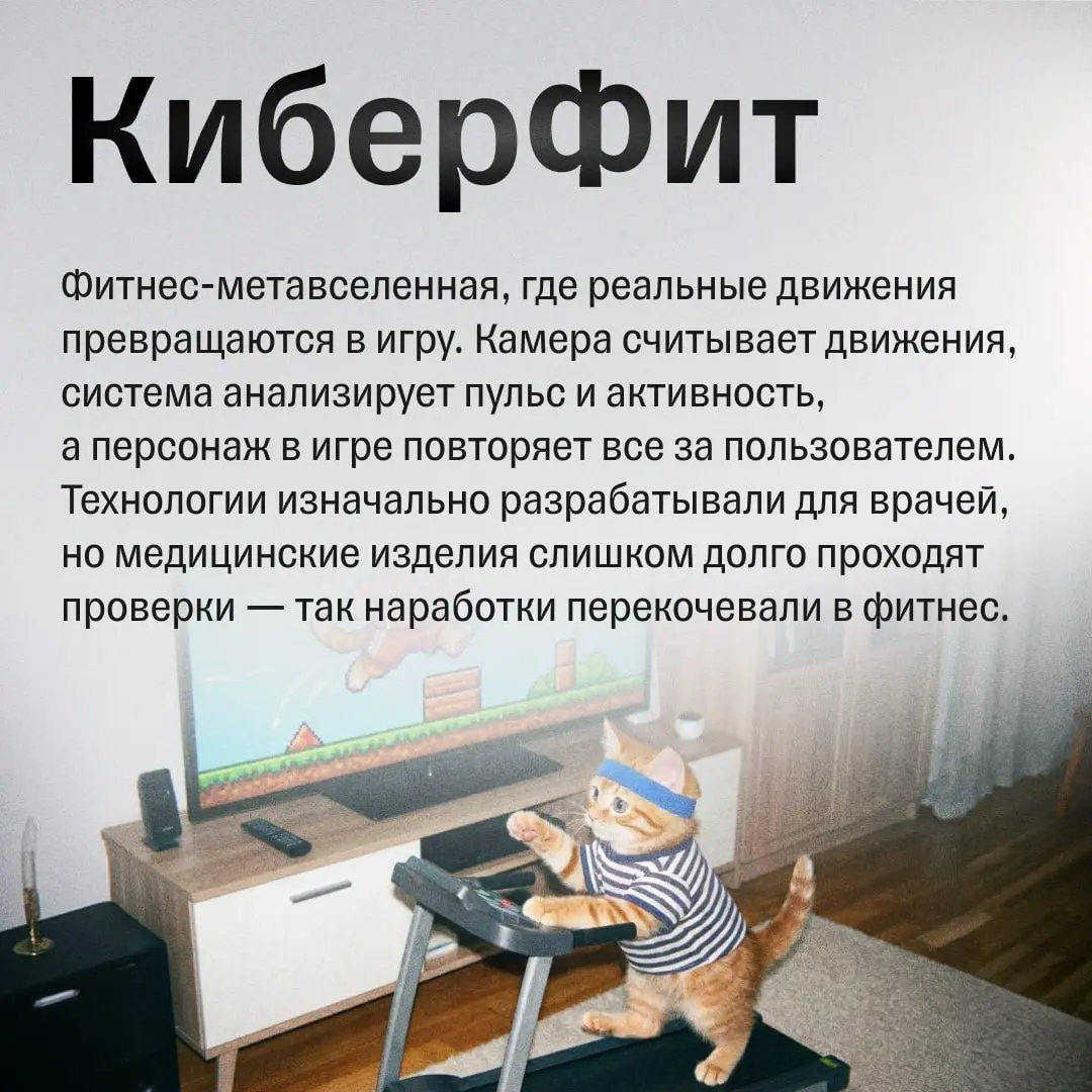 8 крутых идей для бизнеса из Технопарка «Сколково» | Сетка — социальная сеть от hh.ru
