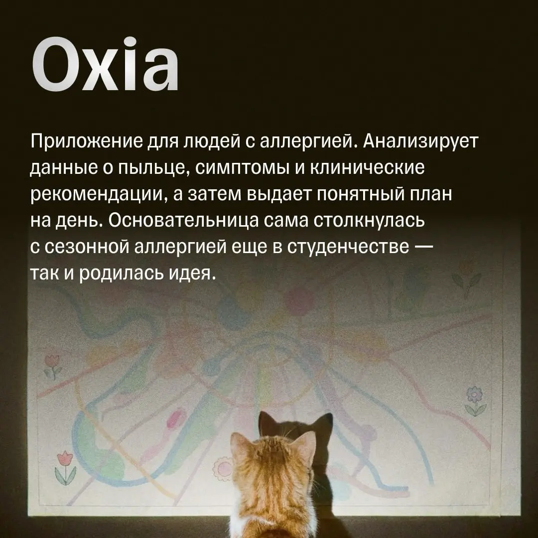 8 крутых идей для бизнеса из Технопарка «Сколково» | Сетка — социальная сеть от hh.ru