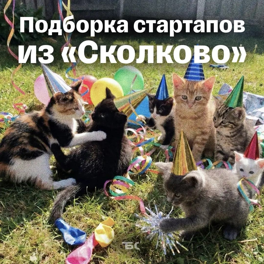 8 крутых идей для бизнеса из Технопарка «Сколково» | Сетка — социальная сеть от hh.ru