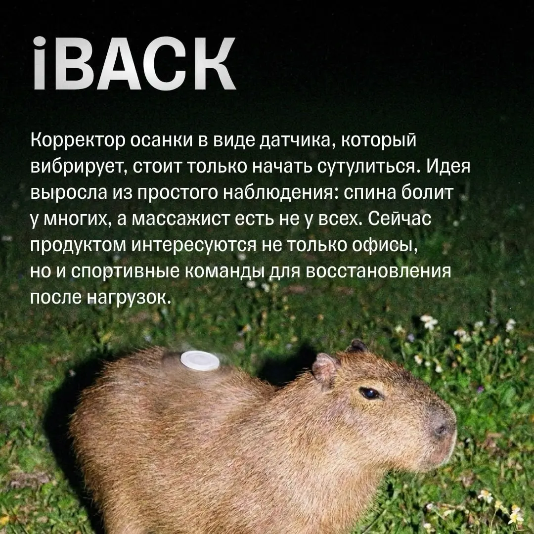 8 крутых идей для бизнеса из Технопарка «Сколково» | Сетка — социальная сеть от hh.ru