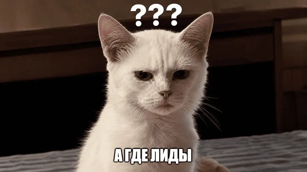 Медийка не сломалась. Вы просто не туда смотрите. | Сетка — социальная сеть от hh.ru