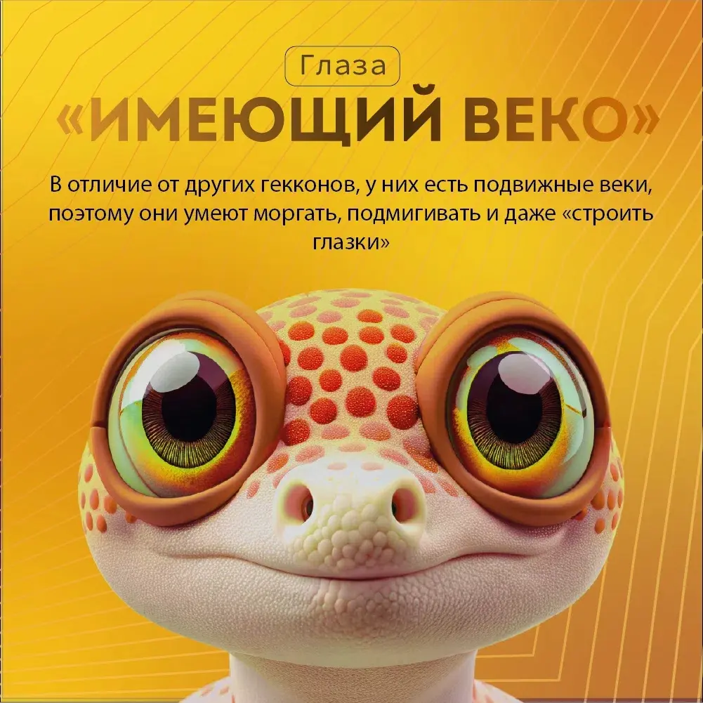 6 день челенжа | Сетка — социальная сеть от hh.ru