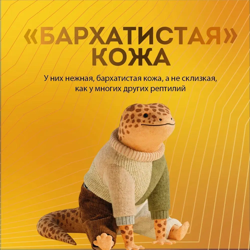 6 день челенжа | Сетка — социальная сеть от hh.ru