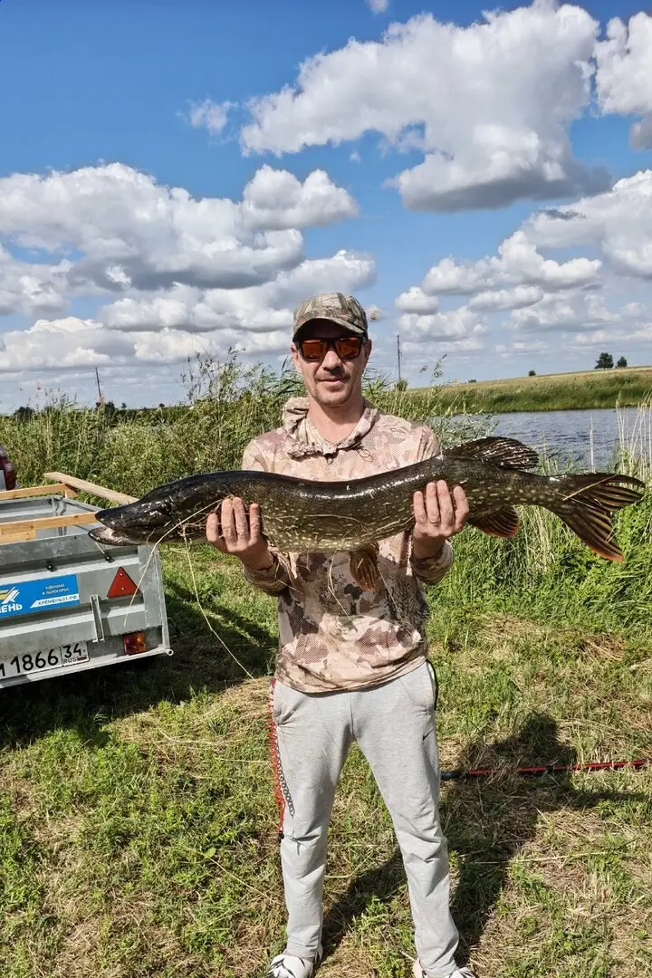 Всем привет! Вот она, долгожданная! Вес — 7700 по механическим весам.
Автор: Александр Смирнов | Сетка — социальная сеть от hh.ru