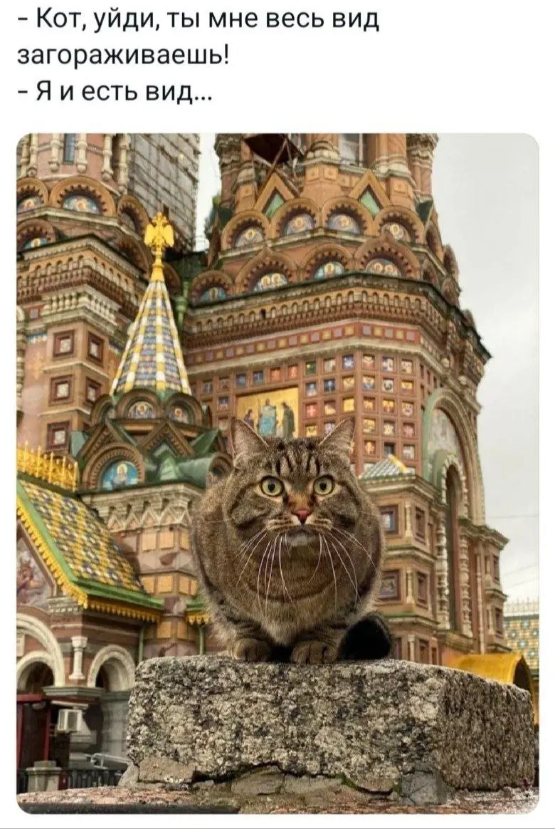 Азъ есмь...КОТ 😂
БЛОГ В ТГ / БЛОГ В MAX
#Юмор #Коты
В этом посте были ссылки, но мы их удалили по правилам Сетки | Сетка — социальная сеть от hh.ru