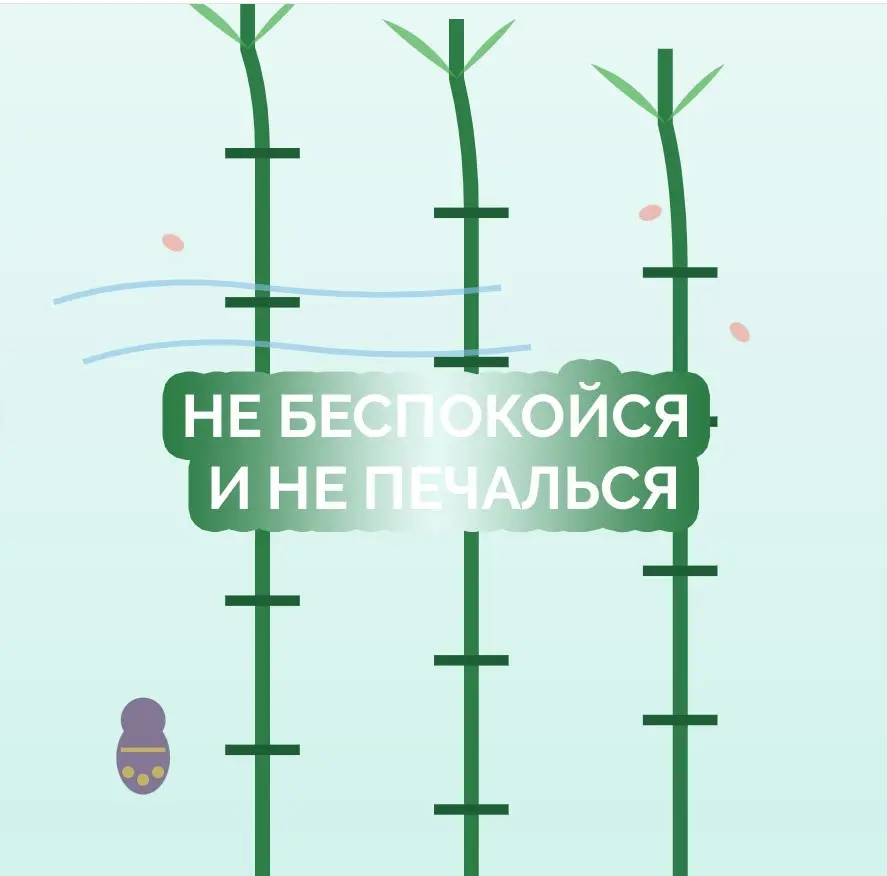 🎯 Задание для участников практики Пяти Принципов
3️⃣ ДЕНЬ «НЕ БЕСПОКОЙСЯ И НЕ ПЕЧАЛЬСЯ» ❕
Знаете суетное беспокойство, когда человек терзается, связывая воедино прошлое, настоящее и грядущее? Это план... | Сетка — социальная сеть от hh.ru