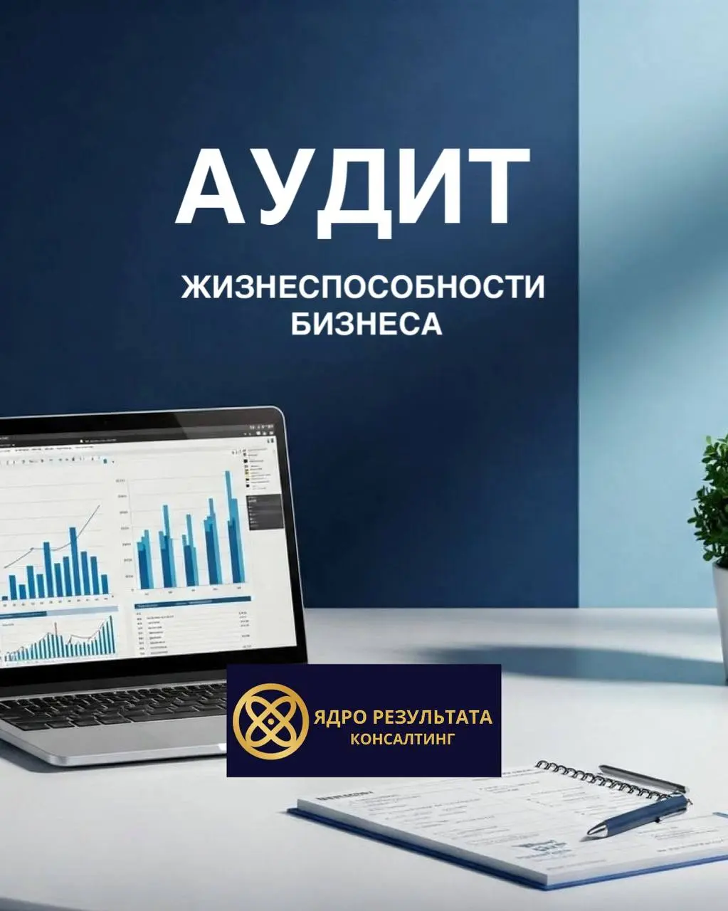 Аудит жизнеспособности бизнеса
Вы работаете на свой бизнес | Сетка — социальная сеть от hh.ru