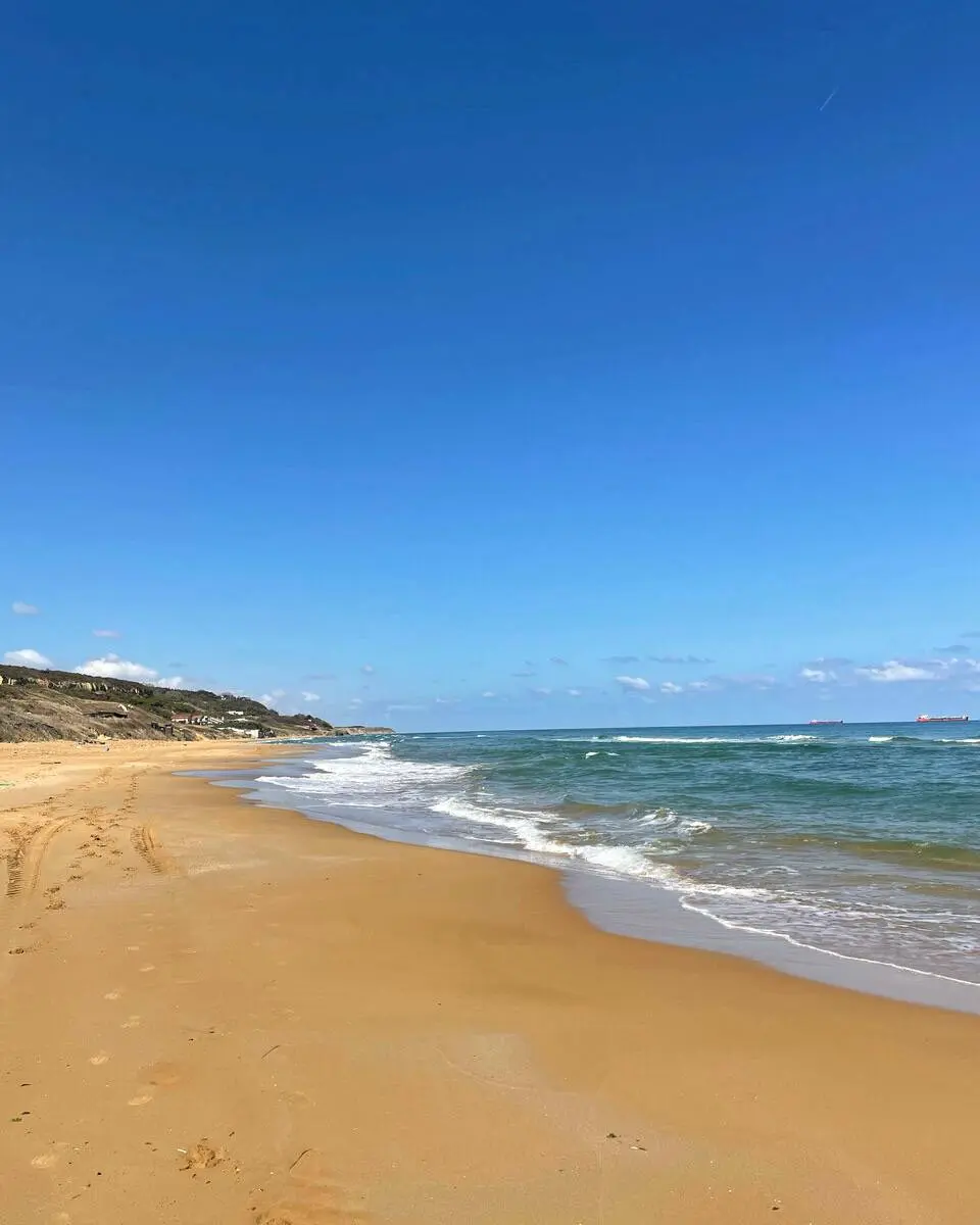 Самый атмосферный пляж Стамбула🏖️
Goga Beach — популярный beach club на севере города (побережье Чёрного моря, район Sarıyer) | Сетка — социальная сеть от hh.ru