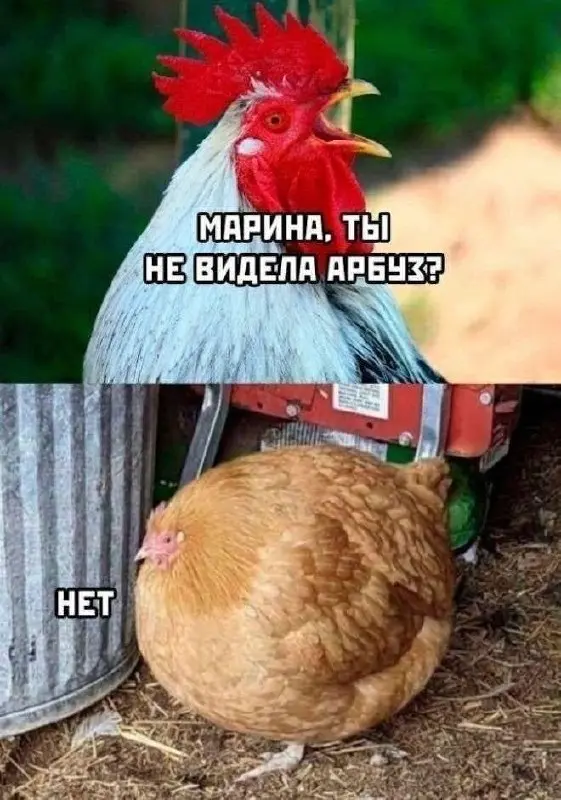 Сильный ≠ надёжный
Сотрудник может быть сколь угодно сильным по хардам, но если он:
— проёбывает сроки
— плевать хотел на остальных в команде и думает только о себе (например, задача встаёт, потому чт... | Сетка — социальная сеть от hh.ru