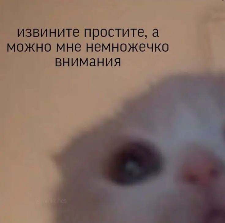 Про важность взрослой позиции на рынке труда | Сетка — социальная сеть от hh.ru