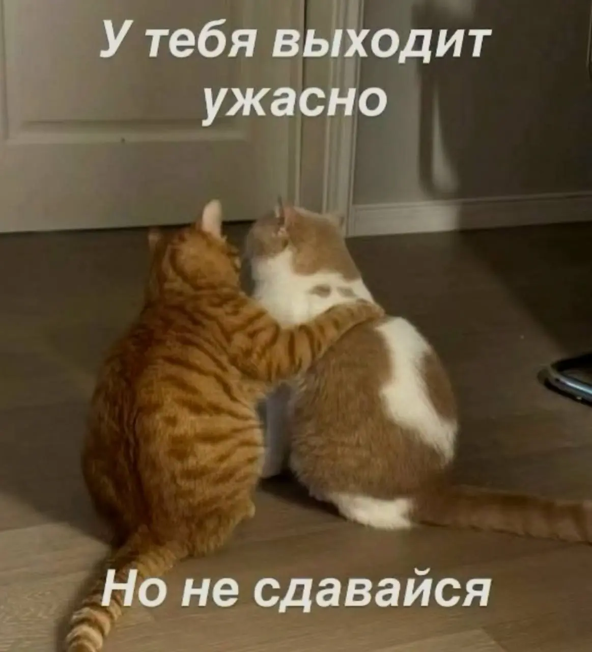 Инструменты меняются, а база вечна - почему мы учим не то? | Сетка — социальная сеть от hh.ru