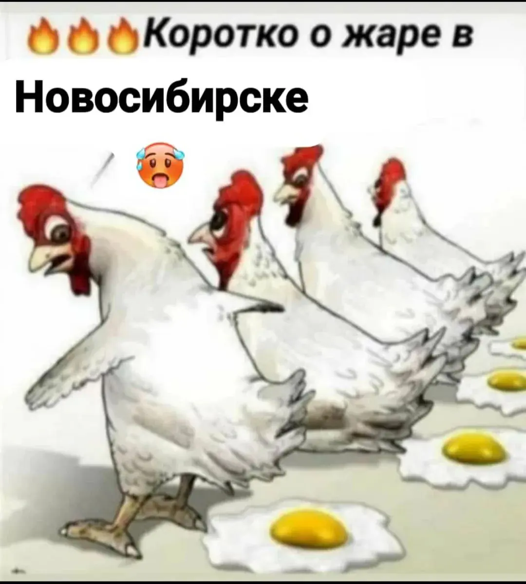 Сибирь изнывает от жары второй месяц. Дождь☔💦🌂 был пару-тройку раз. А какая 🌍☀⛅☁💧⚡❄погода у вас, пишите в комментарии city/town and weather. | Сетка — социальная сеть от hh.ru