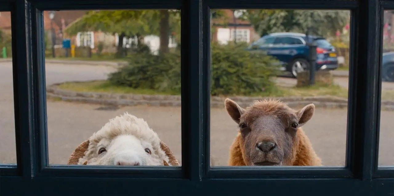 "Следствие ведут овечки" (The Sheep Detectives), 2026
Я поставил на "КиноПоиске" 8, а так там 7 | Сетка — социальная сеть от hh.ru