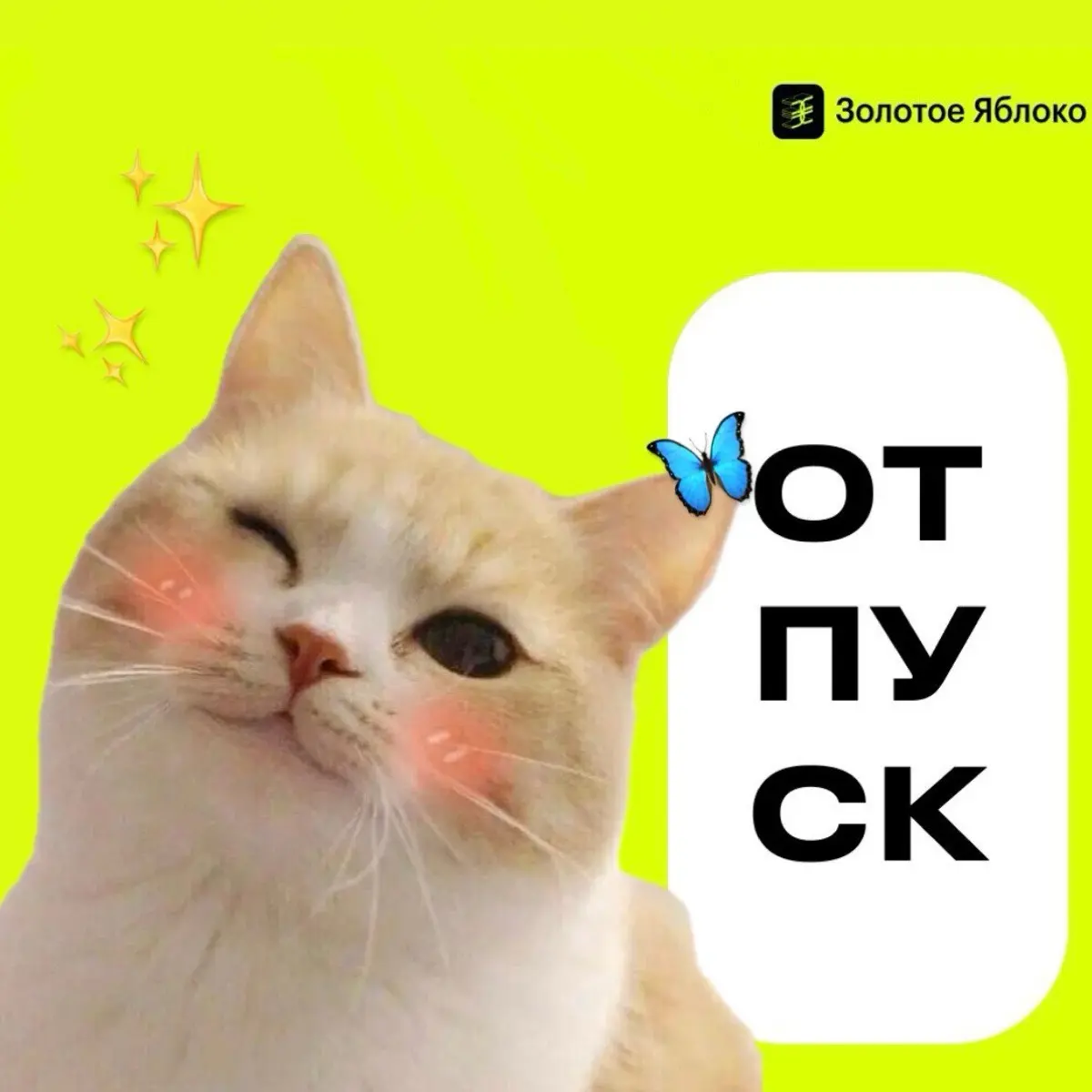 Анастасия Терещенкова
