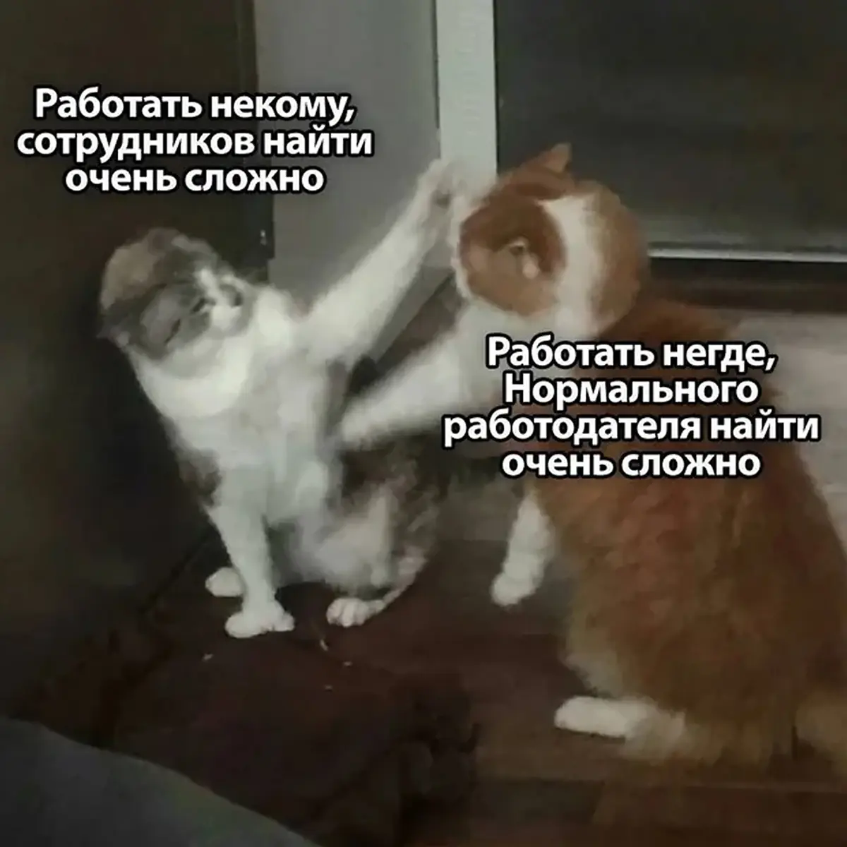 В среде кандидатов живет один очень устойчивый миф | Сетка — социальная сеть от hh.ru