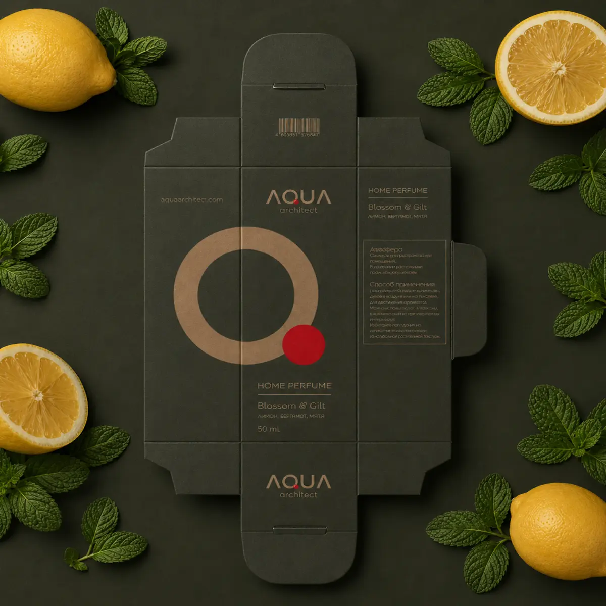 AQUA ARCHITEC — фирменный стиль, передающий аромат без слов | Сетка — социальная сеть от hh.ru