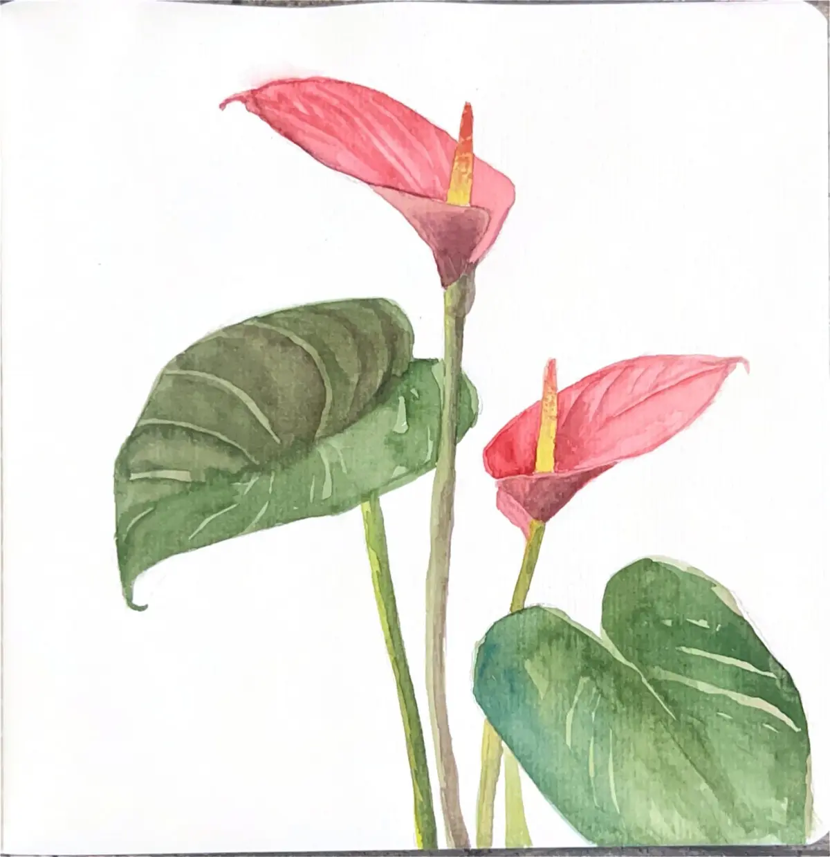 Летние наброски 🌸
Иногда нужно отдохнуть от компьютера с планшетом и вспомнить что такое пленер) | Сетка — социальная сеть от hh.ru