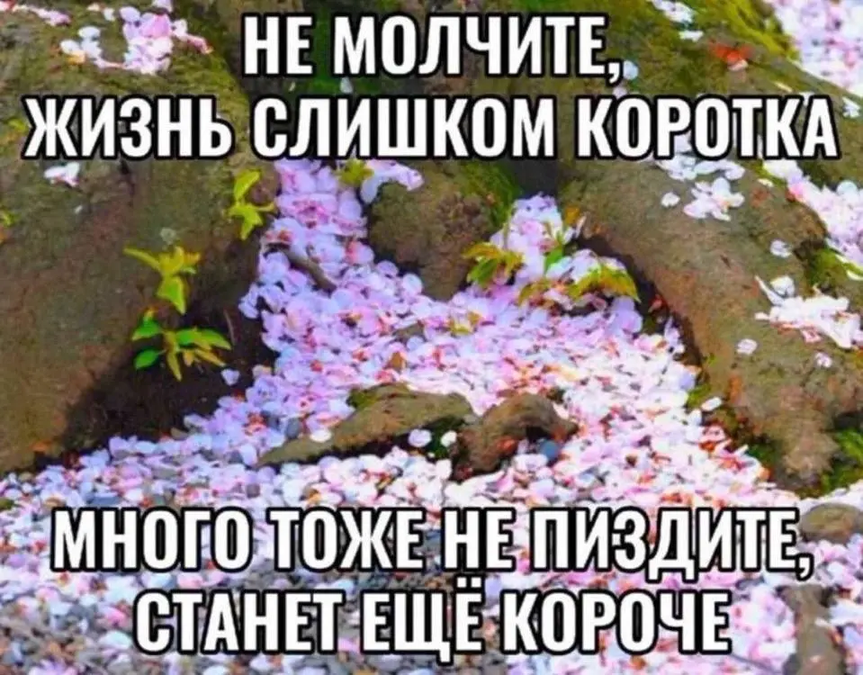 Инсайт | Сетка — социальная сеть от hh.ru