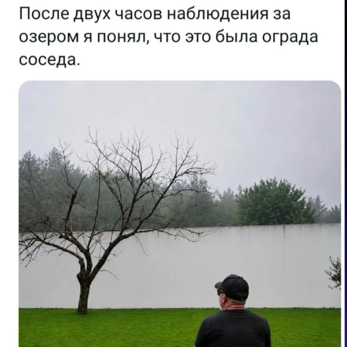 🔋🫠 | Сетка — социальная сеть от hh.ru