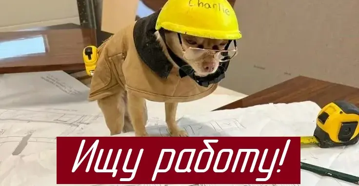 Если вы ищете в свою команду исполнительного, талантливого человека, который интересуется новым, а также стремится и не боится изучать что-то неизвестное, то моя кандидатура отлично вам подойдёт | Сетка — социальная сеть от hh.ru