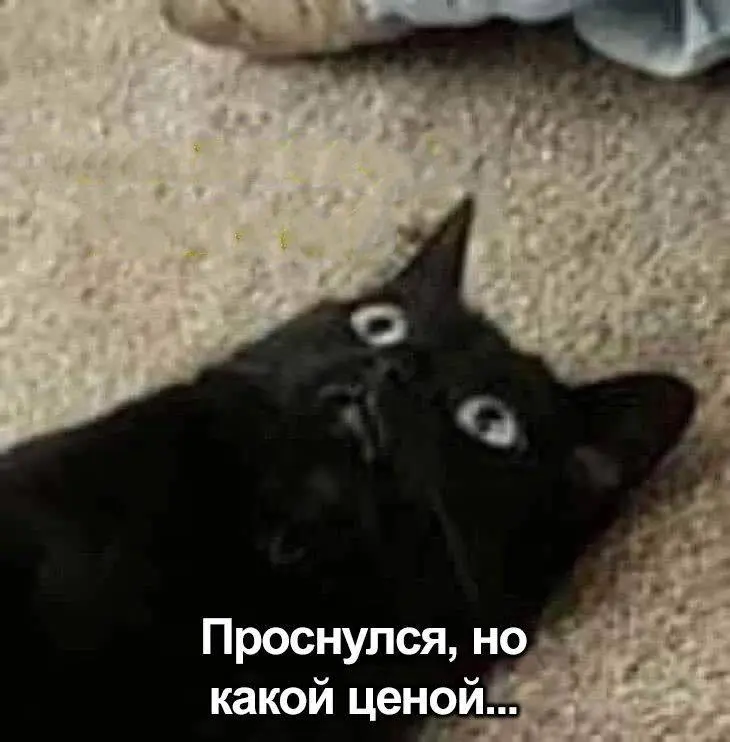 Скоро проснемся в субботу 🥹 | Сетка — социальная сеть от hh.ru