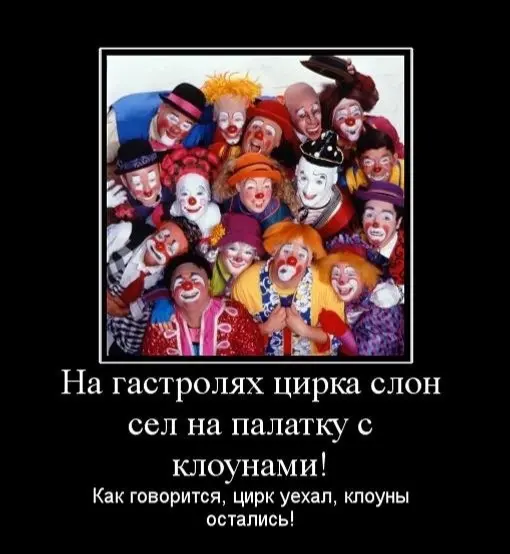 Дорогие пользователи этого прекрасного приложения! | Сетка — социальная сеть от hh.ru