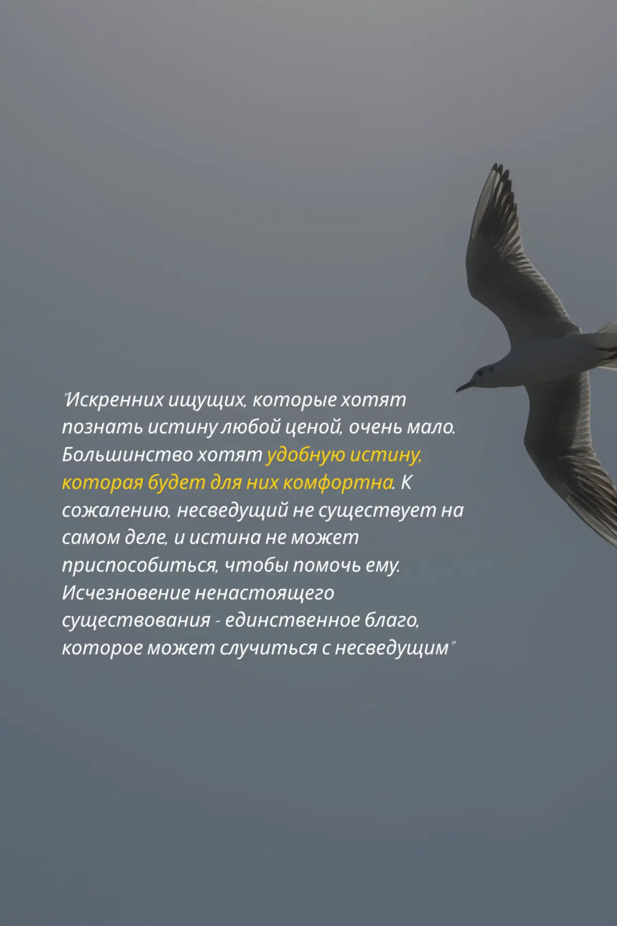 🫶✨️ | Сетка — социальная сеть от hh.ru