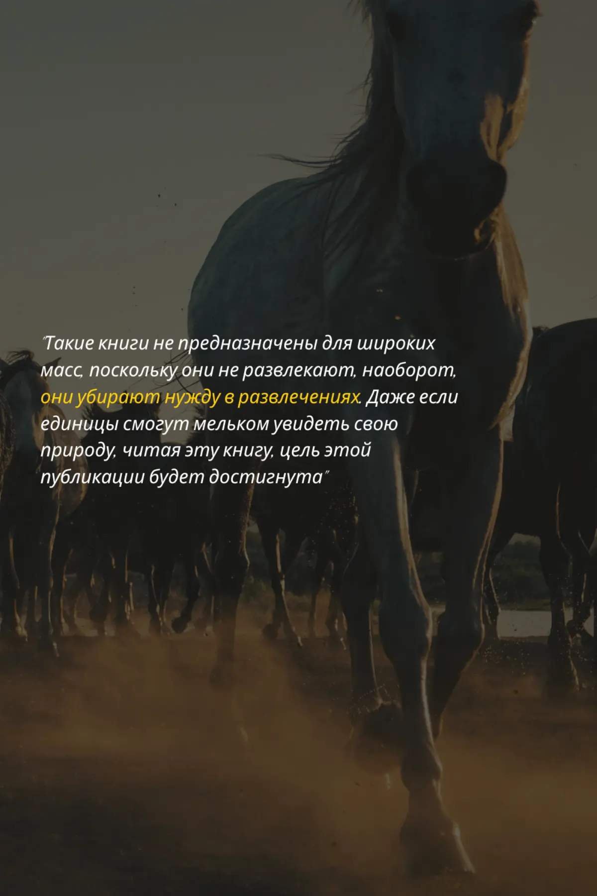 🫶✨️ | Сетка — социальная сеть от hh.ru