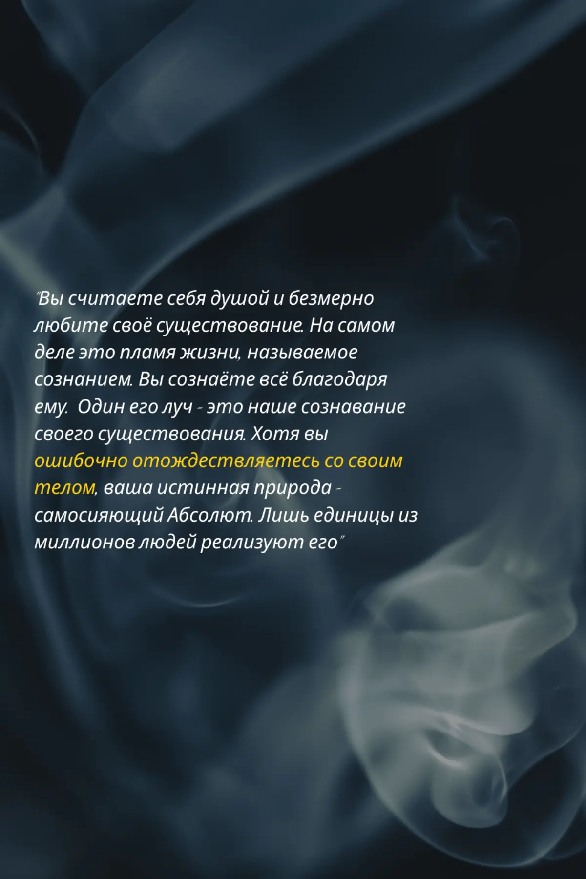 🫶✨️ | Сетка — социальная сеть от hh.ru