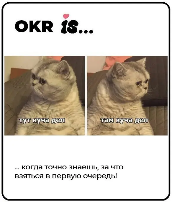🏆 Итоги битвы мемов
Голосование лайками завершено.
Огромное спасибо за крутые работы и самоиронию нашим финалистам: Dmitry T, Юлия Межова и Виолетта Чайковская | Сетка — социальная сеть от hh.ru