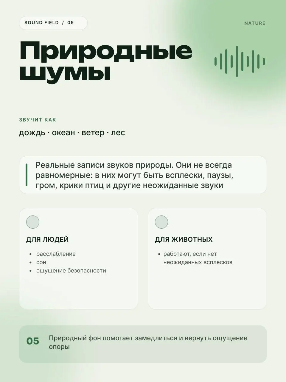 Как шумы влияют на людей и животных 🐕
Попали с собакой на несколько дней в грозовой шторм с ветром и молниями. Пес в ауте | Сетка — социальная сеть от hh.ru
