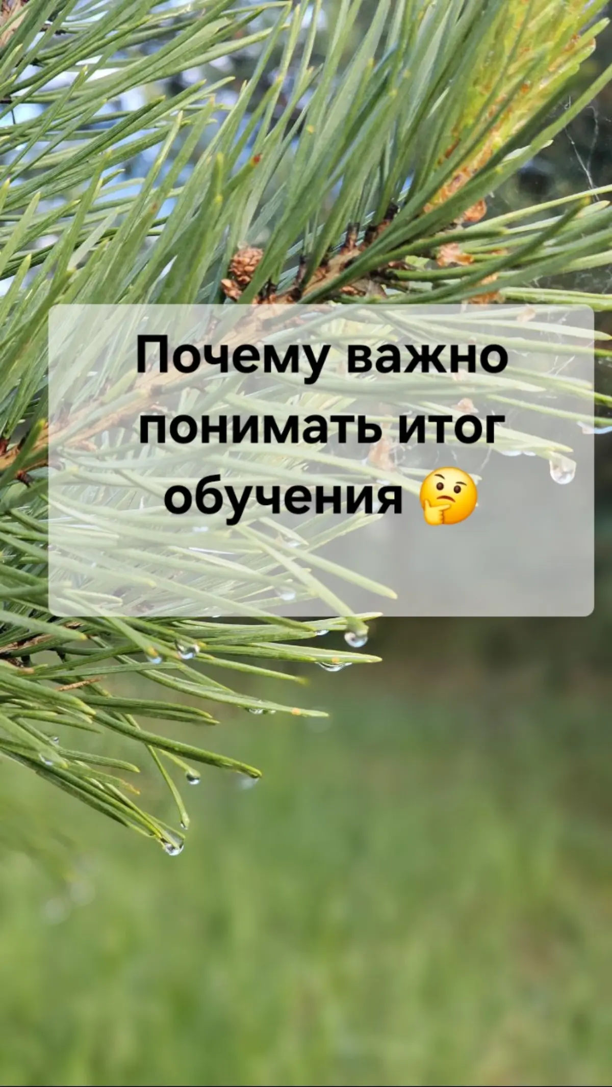 ❓️Почему важно понимать итог обучения❓️ | Сетка — социальная сеть от hh.ru