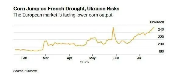 Цены на пшеницу и кукурузу стремительно растут из-за украинских атак гражданских кораблей | Сетка — социальная сеть от hh.ru