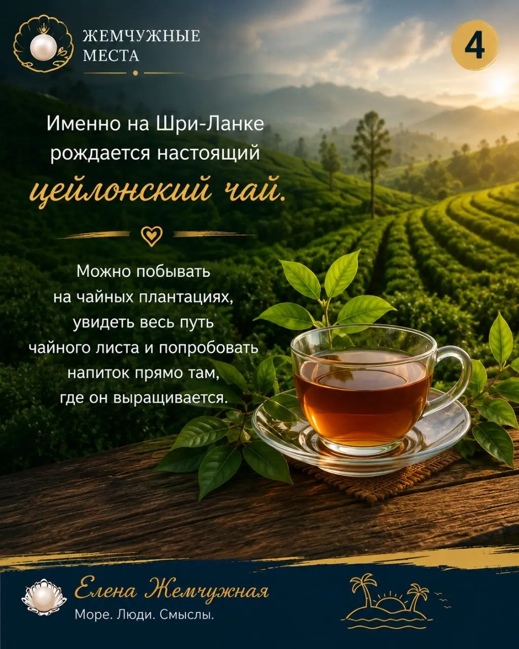 💎 Жемчужные места
🇱🇰 Шри-Ланка — место, которое остаётся в сердце.
Это шум Индийского океана.
Это аромат настоящего цейлонского чая.
Это поезд над Мостом Девяти арок | Сетка — социальная сеть от hh.ru