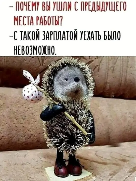 Для работадателя о реальности :)) | Сетка — социальная сеть от hh.ru