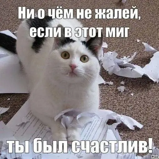 Живем один раз😂😂😂
БЛОГ В ТГ / БЛОГ В MAX
#Юмор #Коты
В этом посте были ссылки, но мы их удалили по правилам Сетки | Сетка — социальная сеть от hh.ru