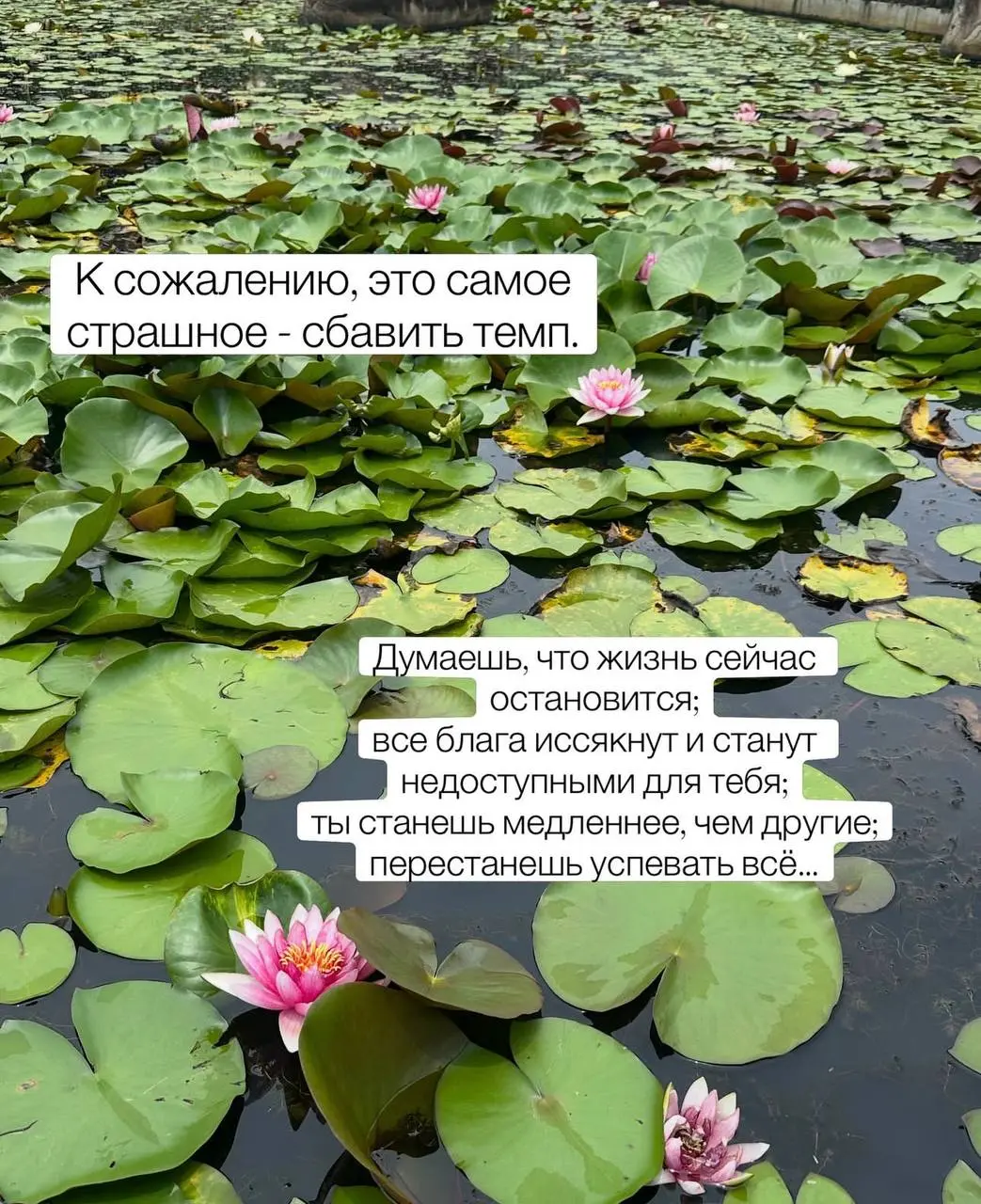 Это очень личная карусель, большой труд и мое собственное достижение собраны в ней.
Будет много вопросов о материальном, не сомневаюсь. Как замедляться, если нужно себя обеспечивать | Сетка — социальная сеть от hh.ru