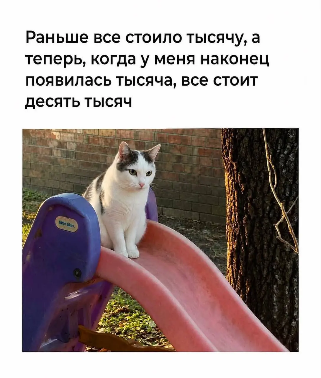 Коллеги, мы? | Сетка — социальная сеть от hh.ru