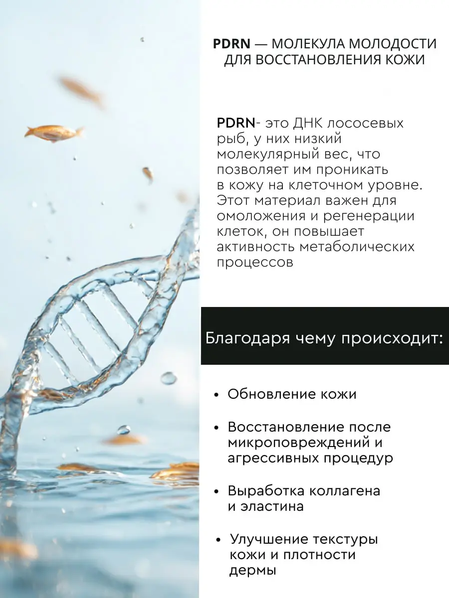 ✨ Один бренд — пять разных концепций. Зачем мы сделали столько вариантов?
Когда речь идет о запуске премиального бренда на маркетплейсах, недостаточно просто сделать красивый дизайн | Сетка — социальная сеть от hh.ru