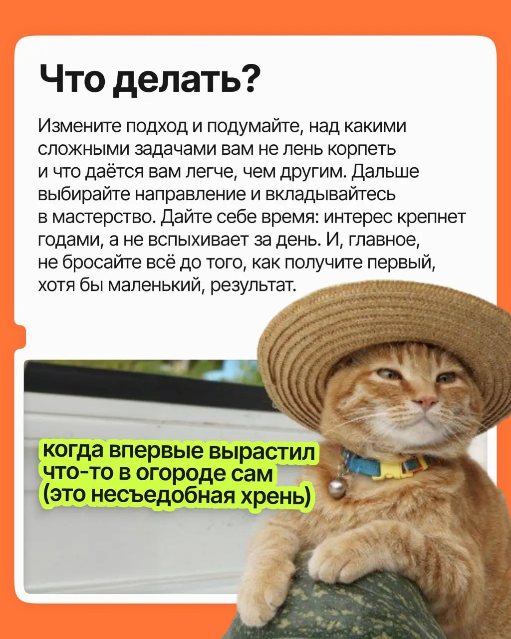 Идея, что нужно найти своё призвание и не работать ни дня, на самом деле вредна для карьеры и ментального здоровья | Сетка — социальная сеть от hh.ru